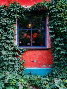 Window with wooden window binding, lights and ivy leaves, bright colour wall. Stock Photos