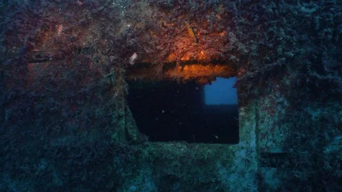 Window of a Wreck Underwater Stock Footage 124064622