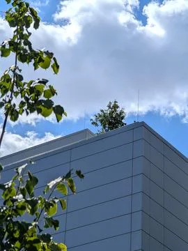 Windowless Gray Modern Building with Diagonal Lines, Trees and Blue Summer Sk Stock Photos