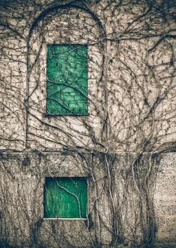 Windows abandoned building Stock Photos
