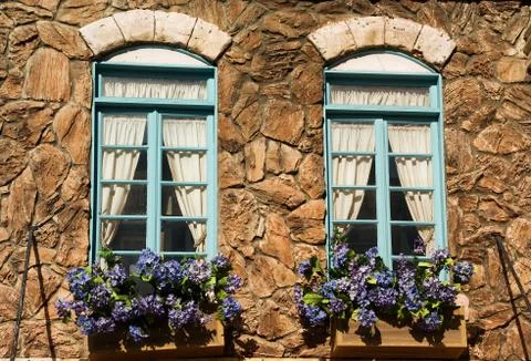 Windows and flowers Stock Photos