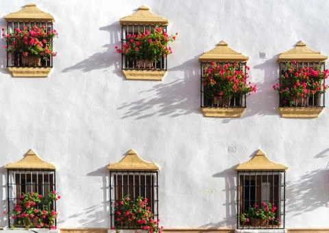 Windows and FLowers Foto stock