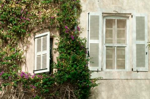 Windows and wall with ivy Stock Photos