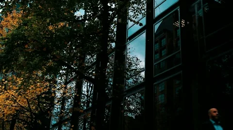 Windows . autumn . reflections Stock Footage 42762700