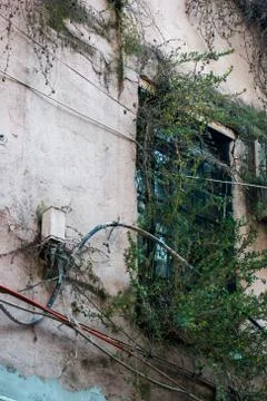 Windows with beautiful architecture Stock Photos