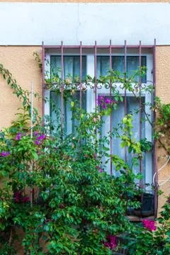 Windows with beautiful architecture Stock Photos