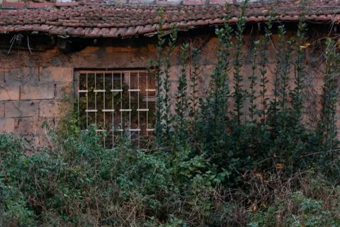 Windows with beautiful architecture Stock Photos