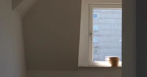 Windows behind the window Stock Footage 260879730