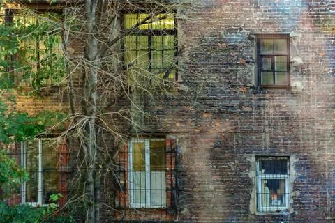 Windows on a brick wall. Stock Photos