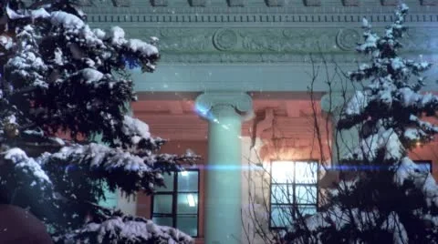 The Windows of Central Conservatory With Two Huge Fir Trees Growing Nearby on Stock Footage 53744466