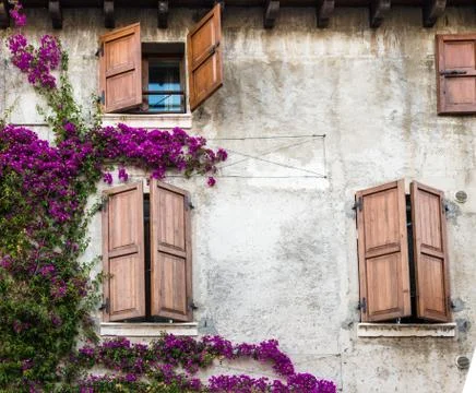 Windows colorful Photos