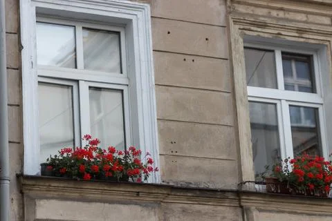 Windows decorated with beautiful red geranium flowers in summer day. Urban Stock Photos