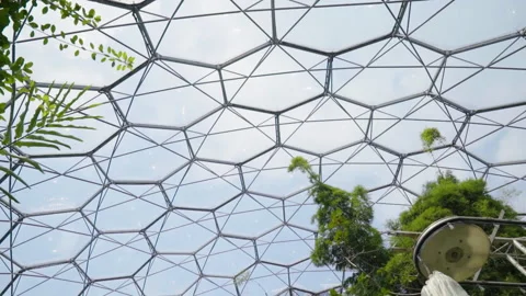 Windows Of The Eden Project Located In The UK Stock Footage 221828584