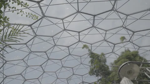 Windows Of The Eden Project Located In The UK  - No LUT Version Stock Footage 221828863