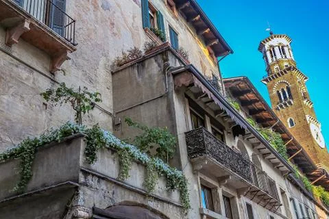 Windows in the facades Stock Photos