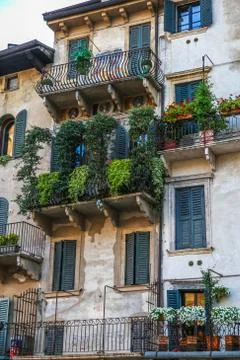 Windows in the facades Stock Photos