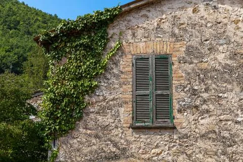 Windows in the facades Stock Photos