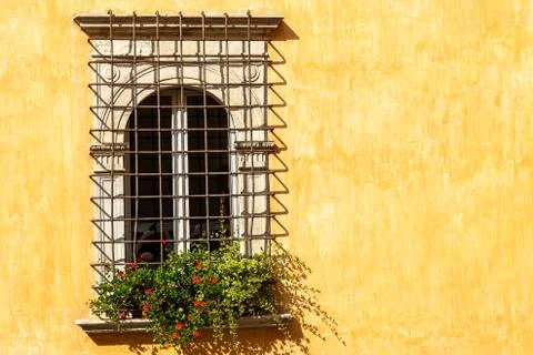 Windows in the facades Stock Photos