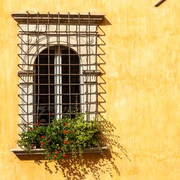 Windows in the facades Stock Photos