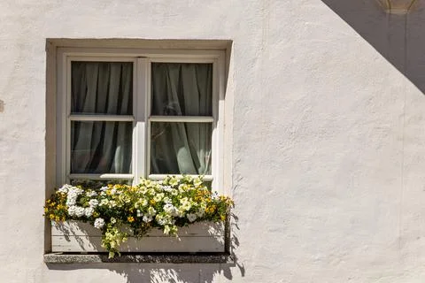 Windows in the facades Stock Photos