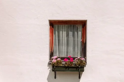 Windows in the facades Stock Photos