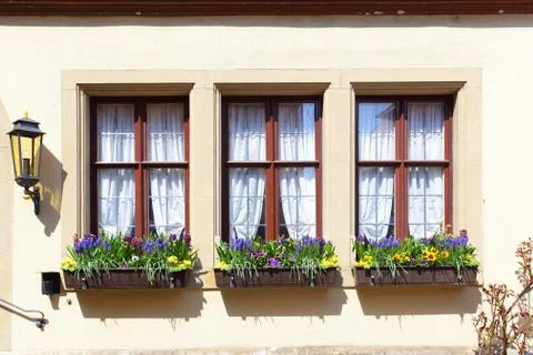 Windows with flowers Stock Photos