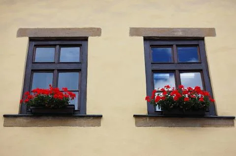 Windows with flowers Stock Photos