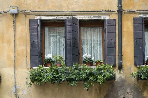 Windows with flowers Stock Photos