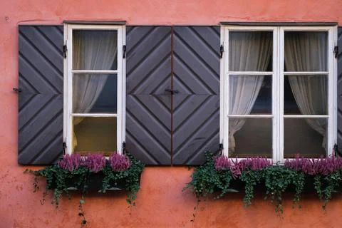 Windows with flowers Stock Photos