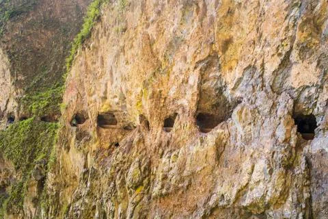 Windows of the Guimar Фото