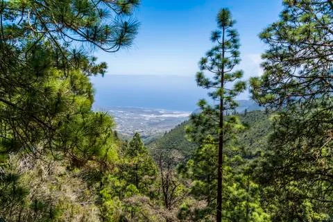 Windows of the Guimar Stock Photos