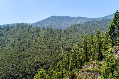 Windows of the Guimar Stock Photos