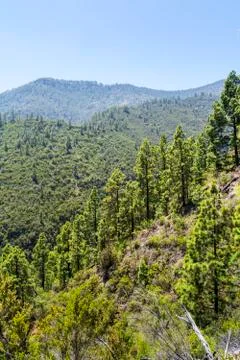 Windows of the Guimar Stock Photos