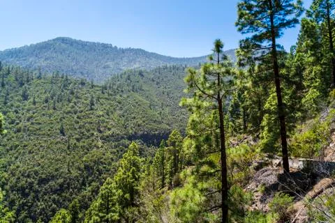 Windows of the Guimar Stock Photos