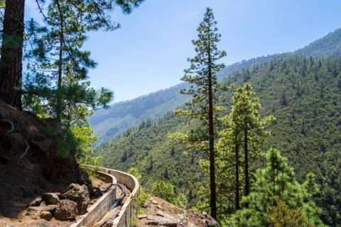 Windows of the Guimar Фото