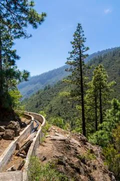 Windows of the Guimar Фото