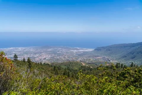 Windows of the Guimar Stock Photos