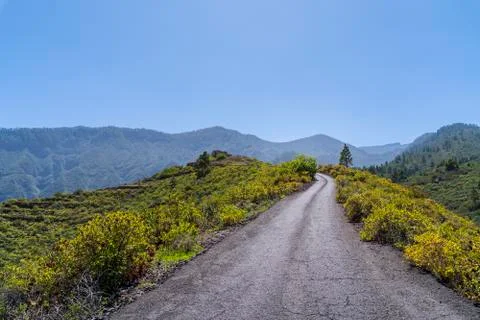 Windows of the Guimar Photos