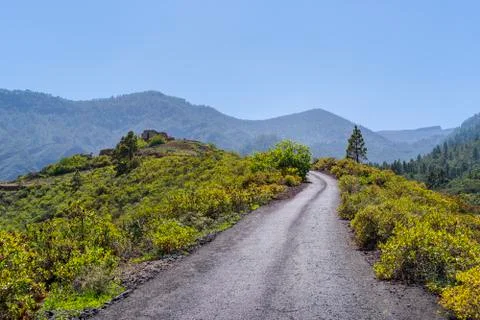 Windows of the Guimar Фото