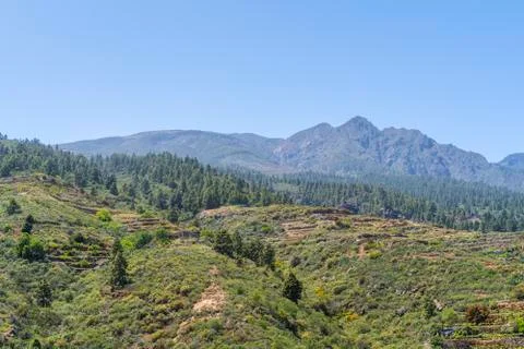 Windows of the Guimar Stock Photos