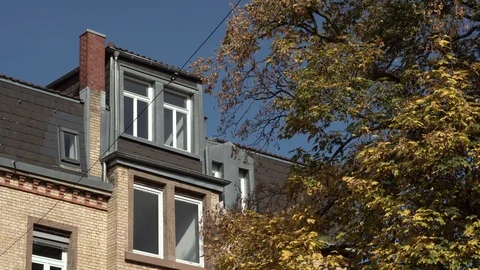 Windows on housetop with tree Video stock 100098214
