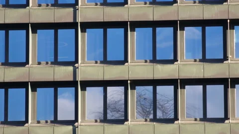 Windows on an office building reflecting blue sky and a bare tree. Nature and Stock Footage 231805977