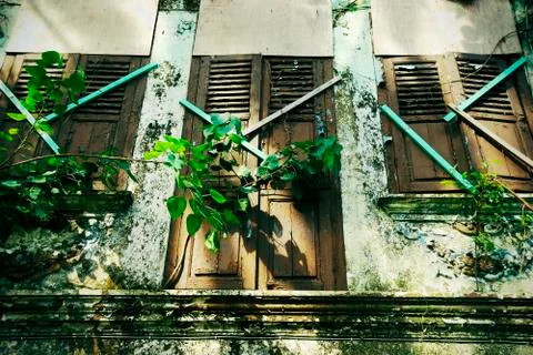 Windows Foto stock