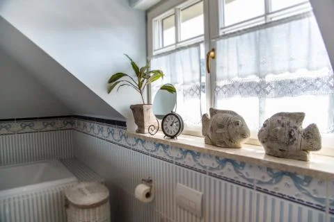 Windows Stock Photos