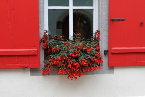 Windows Stock Photos