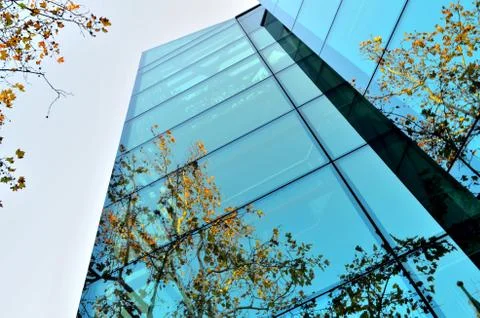 Windows Stock Photos