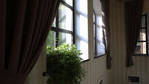 Windows with Plants on the Sill and a View in a Garden at Sunset Stock Footage 241323119