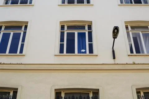 Windows of a school building Stock Photos
