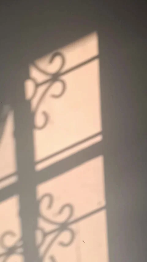 Windows shadow Stock Footage 342779586