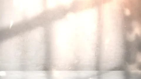 Windows Silhouette Reflection on Concrete Wall With Twinkle Lights Stock Footage 284101716